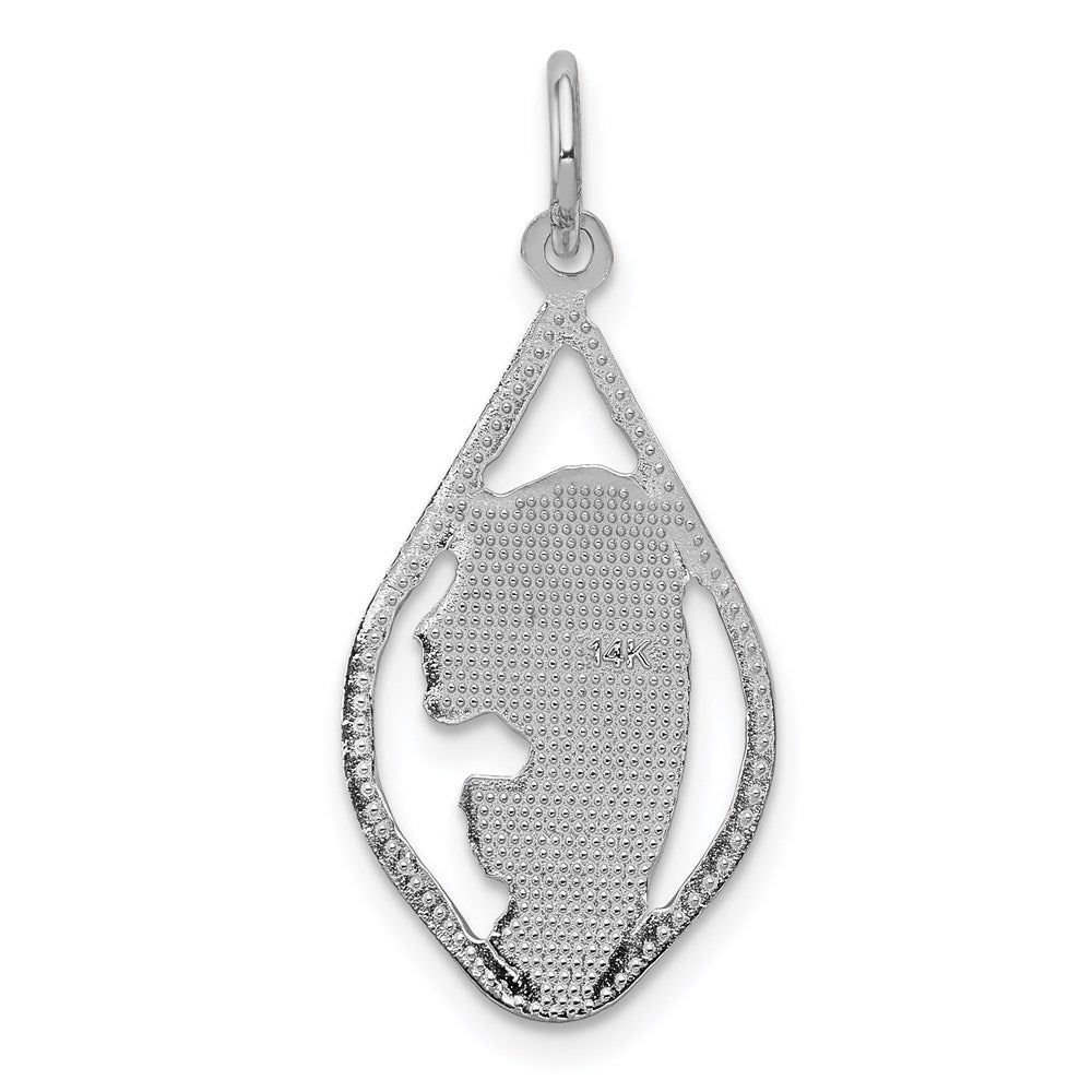 14k White Gold Blessed Virgin Mary Charm