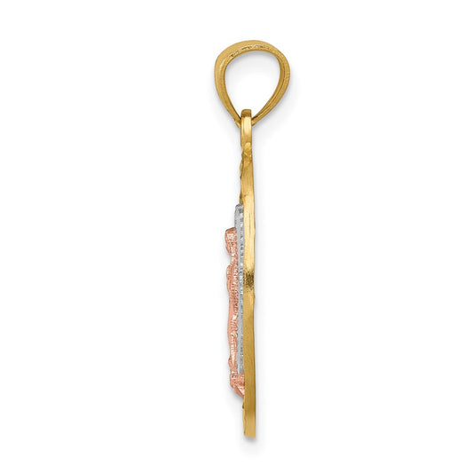 14K Two-tone with White Rhodium Diamond-cut Our Lady of Guadalupe Oval Charm