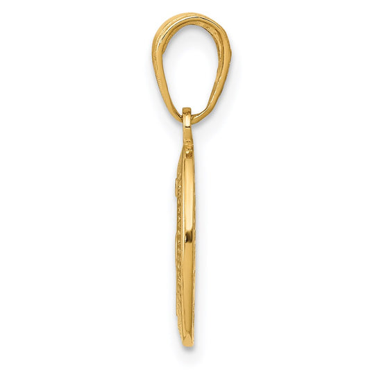 14k Polished and Satin Solid Miraculous Medal Oval Charm