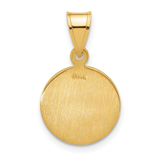 14k Polished and Satin Solid Our Lady of Perpetual Help Medal Round Pendant