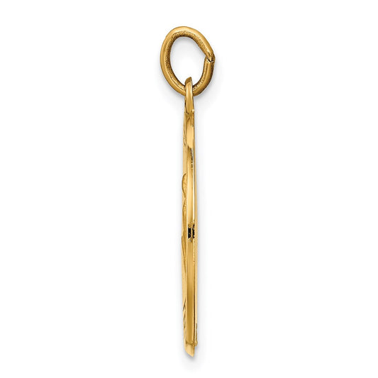 14k Polished and Satin Solid St Luke Medal Round Pendant