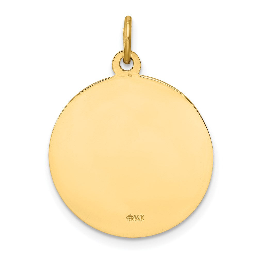 14k Polished and Satin Solid Our Lady of Mt. Carmel Medal Round Charm