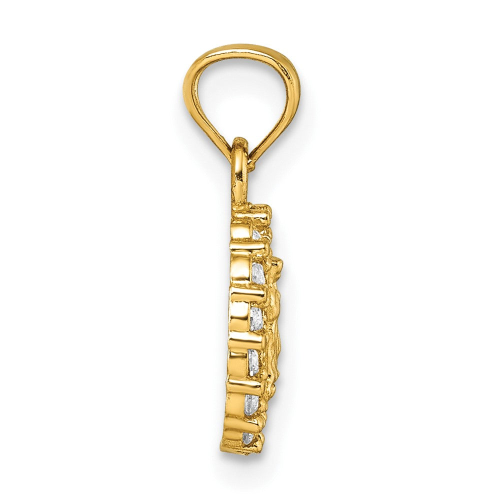 14k Polished CZ Our Lady of Guadalupe Oval Charm Pendant