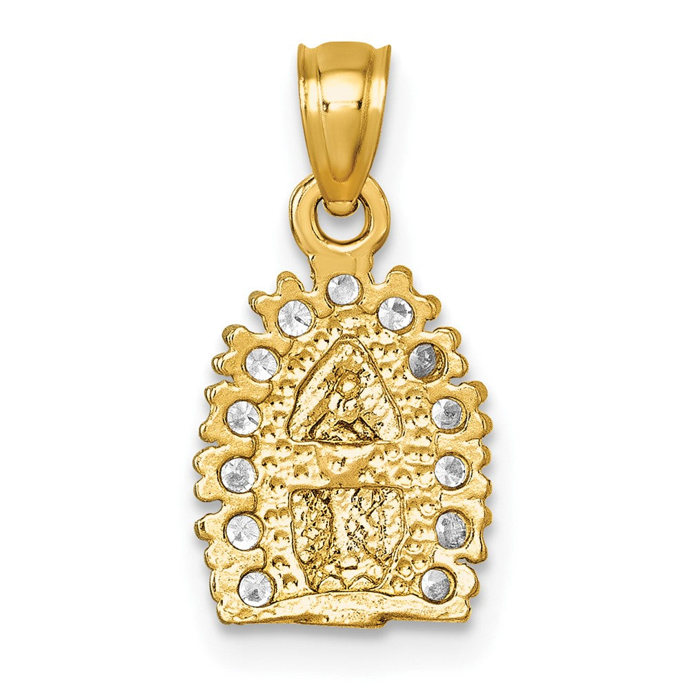 14k Polished CZ Our Lady of Guadalupe Charm Pendant