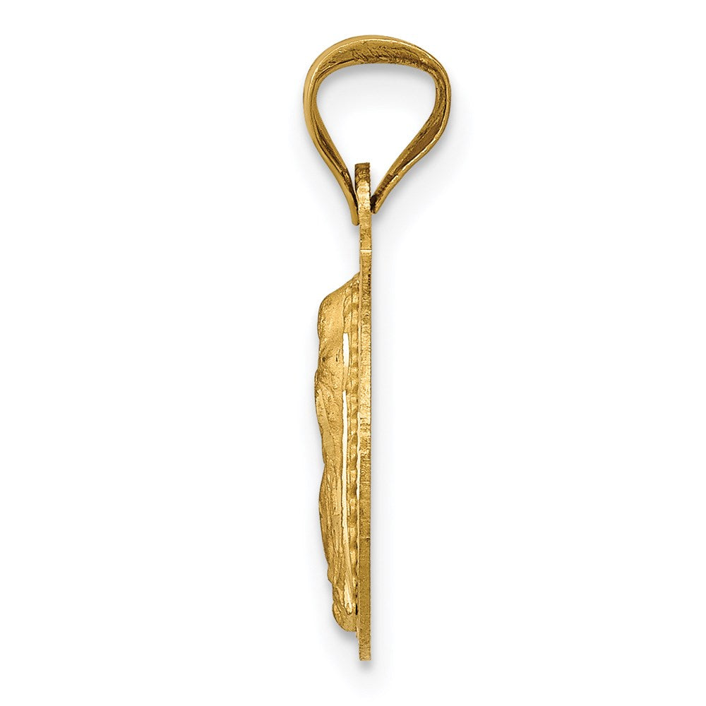 14K with Rose and White Rhodium Polished Diamond-cut Solid Our Lady Of Guadalupe Round Pendant