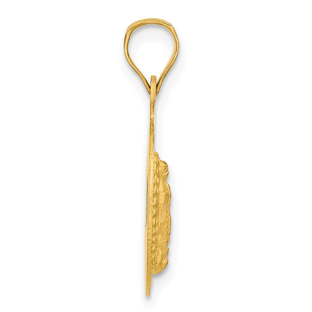 14K Polished Diamond-cut Solid Our Lady Of Guadalupe Round Pendant