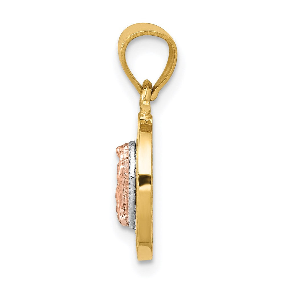 14K Two-Tone with White Rhodium Diamond-cut CZ Our Lady of Guadalupe Oval Pendant