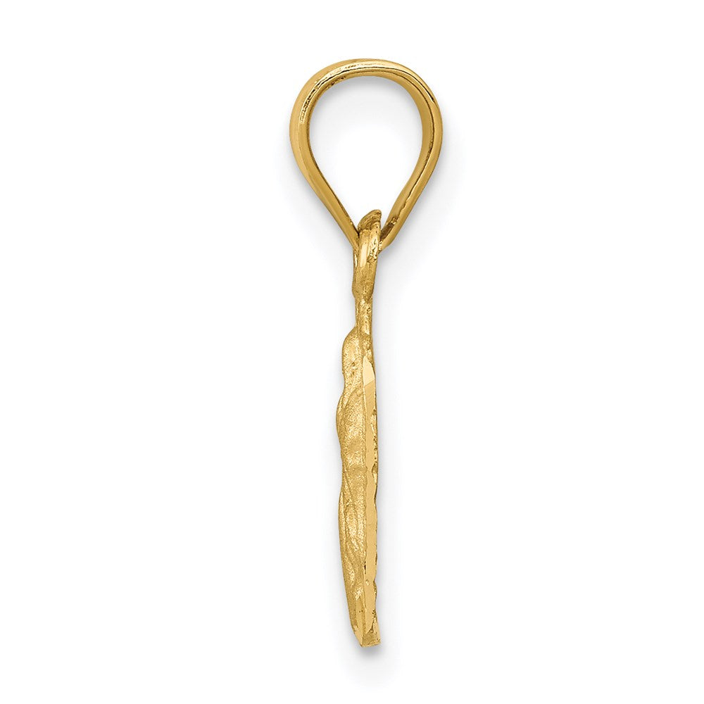 14k Satin and Diamond-cut Small Our Lady of Guadalupe Pendant