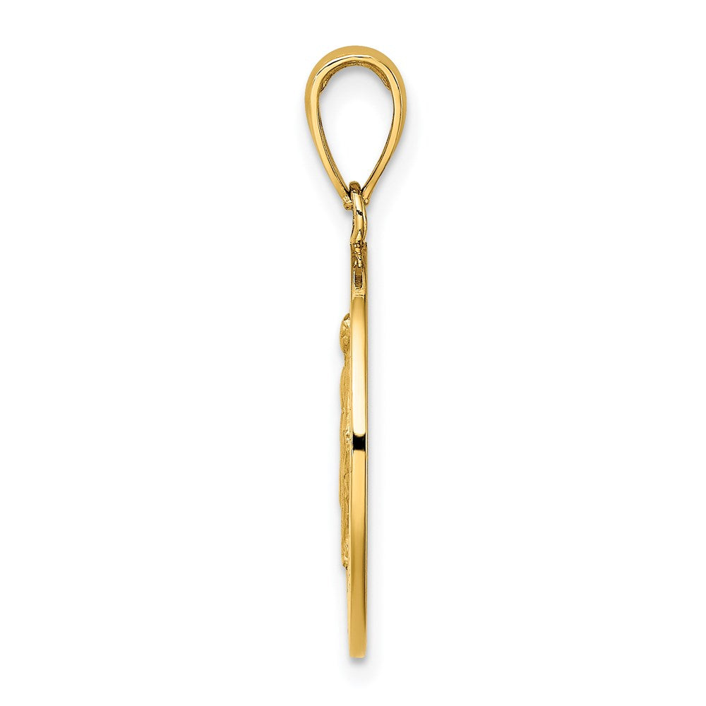 14K Polished and Satin Miraculous Medal Round Charm