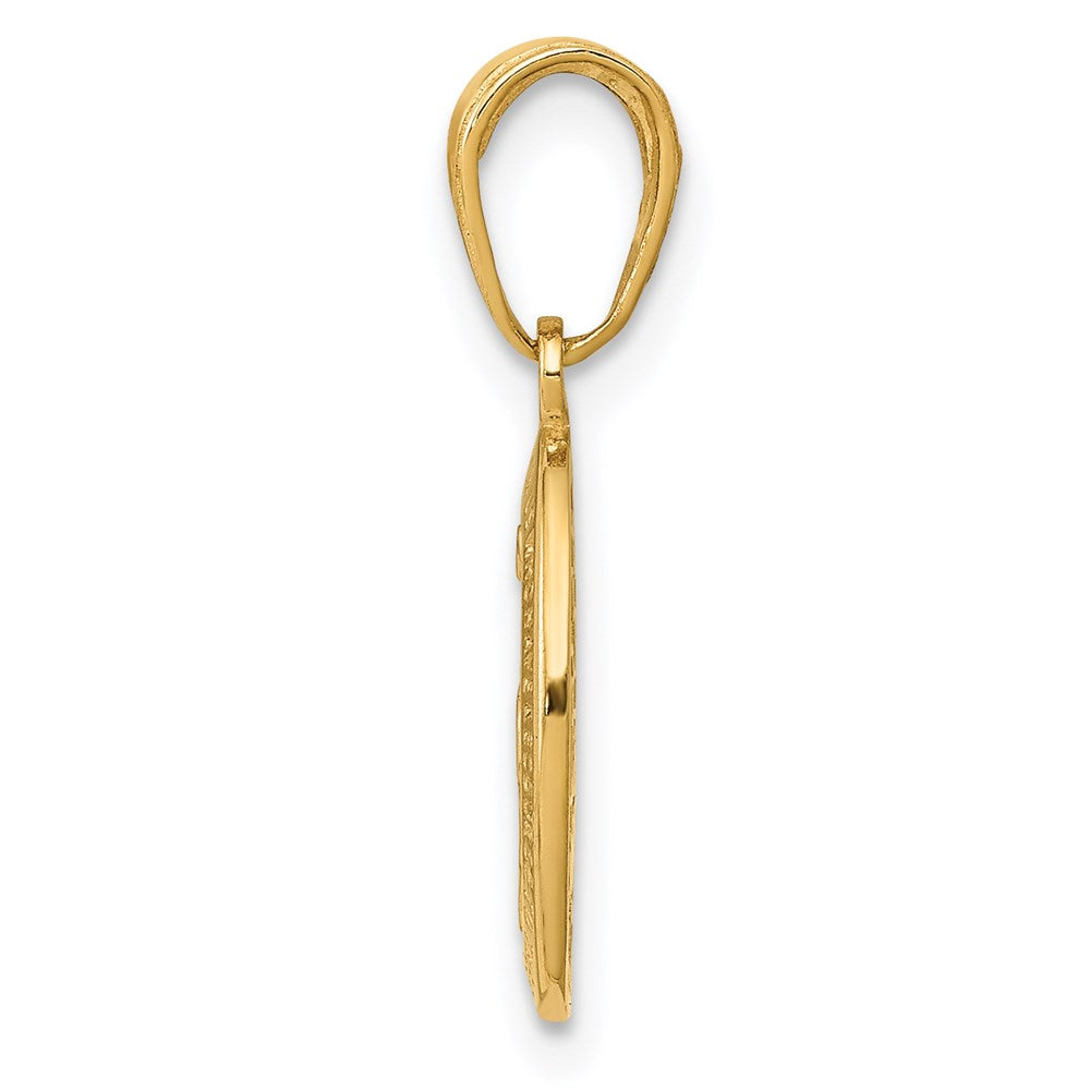 14k Polished and Satin Solid Miraculous Medal Oval Charm