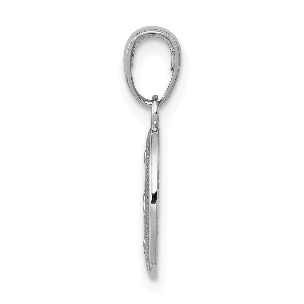 14k White Gold Polished and Satin Solid Miraculous Medal Oval Charm