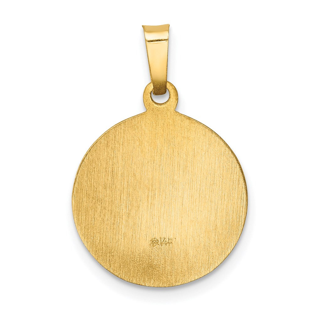 14k Polished and Satin Hollow Sacred Heart of Mary Medal Round Pendant