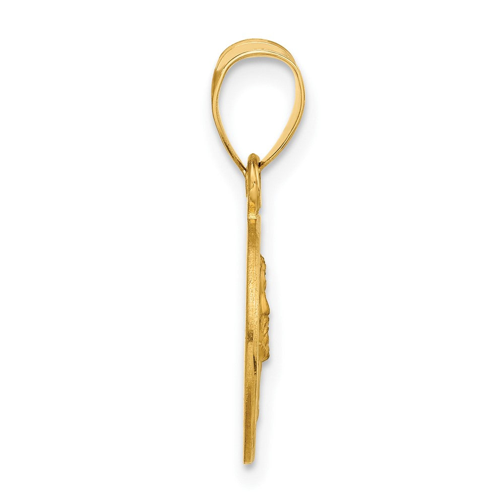 14k Polished and Satin Solid Face of Jesus Medal Round Pendant