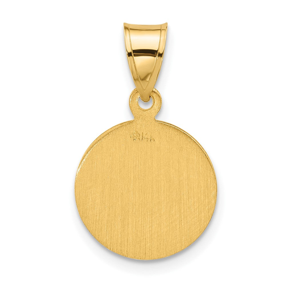 14k Polished and Satin Solid Face of Jesus Medal Round Pendant
