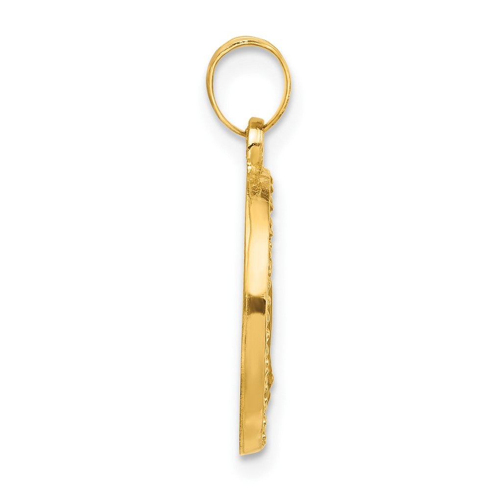 14K Polished and Satin Hollow Miraculous Medal Plain Back Pendant