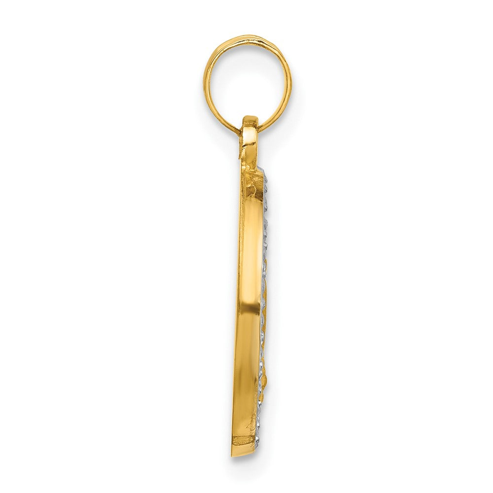 14K and White Rhodium Polished and Satin Hollow Miraculous Medal Plain Back Pendant