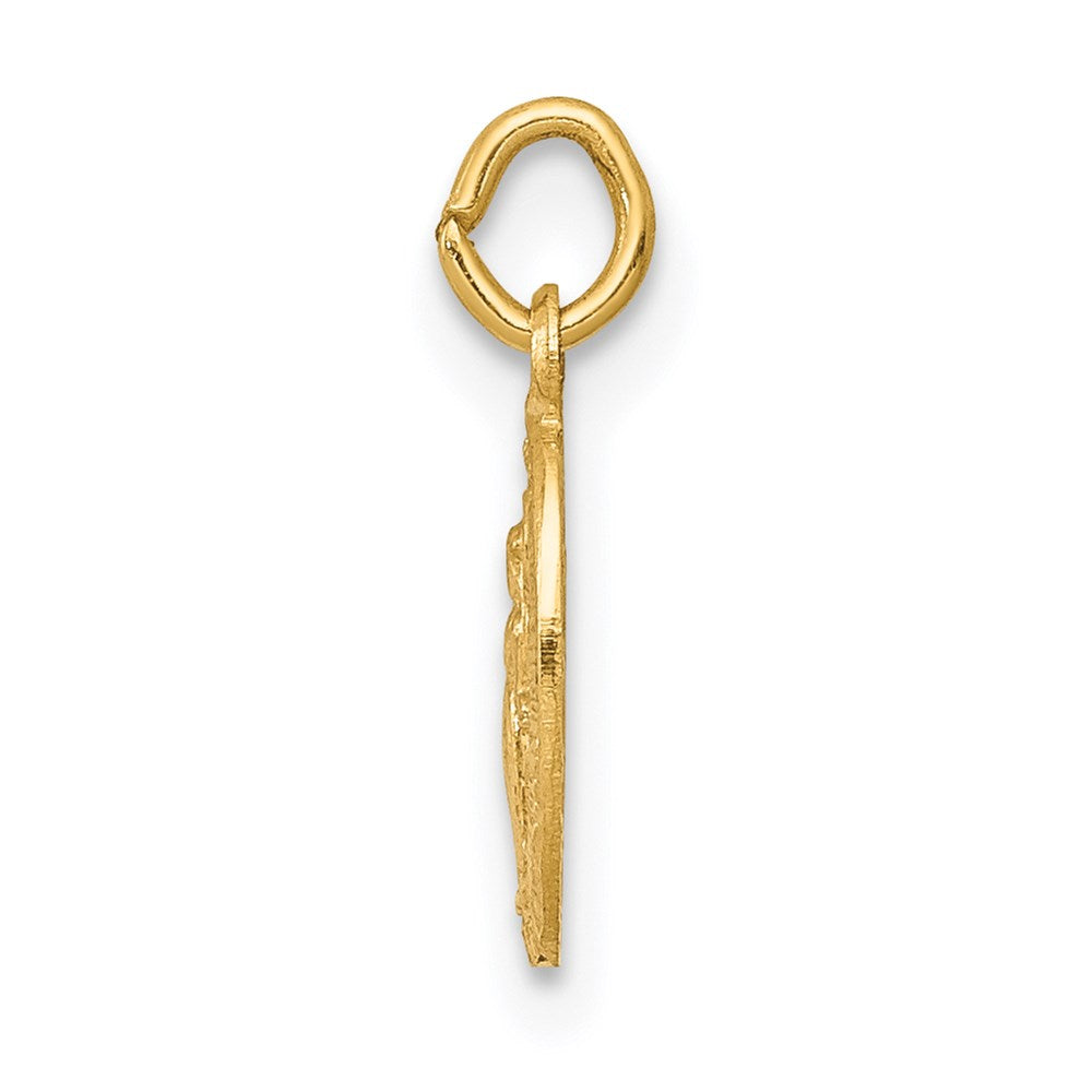 14k Polished Solid Small Miraculous Medal Oval Charm