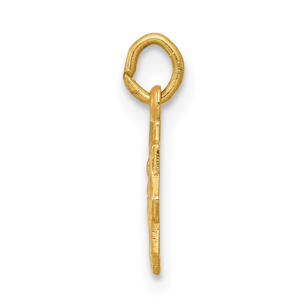 14k Blessed Virgin Mary Charm