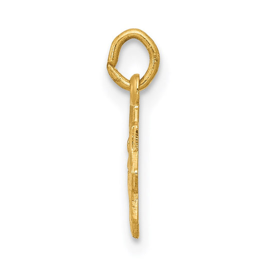 14k Blessed Virgin Mary Charm