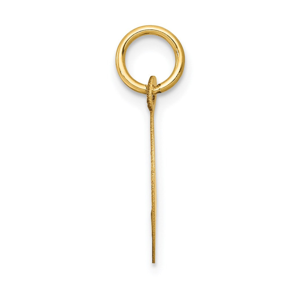 14k Polished and Satin Solid HOLY COMMUNION Diamond-cut Edge Round Disc Charm