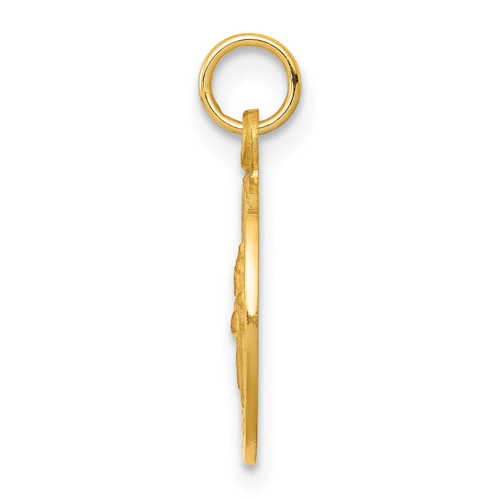 14k Polished and Satin Solid Saint Patrick Medal Round Charm