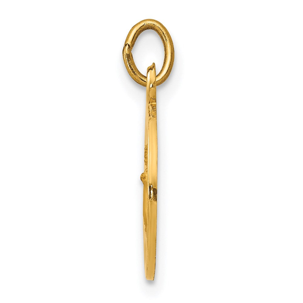 14k Polished and Satin Solid Infant of Prague Medal Round Charm