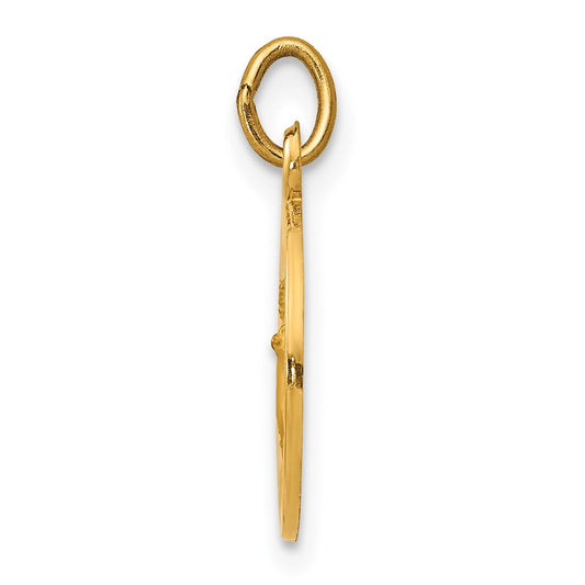 14k Polished and Satin Solid Infant of Prague Medal Round Charm