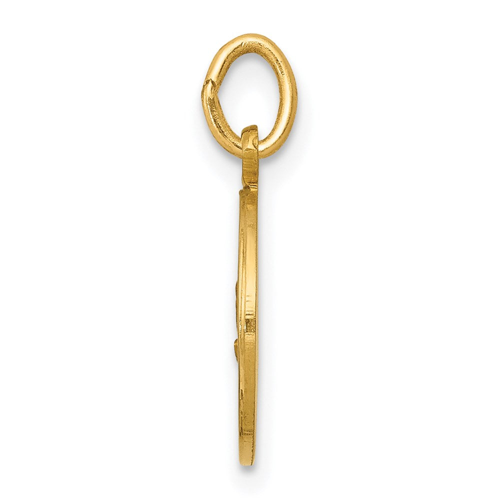 14k Polished and Satin Solid Our Lady of Fatima Medal Round Charm